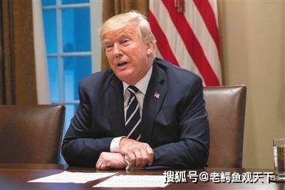 刀信鸿 第2页