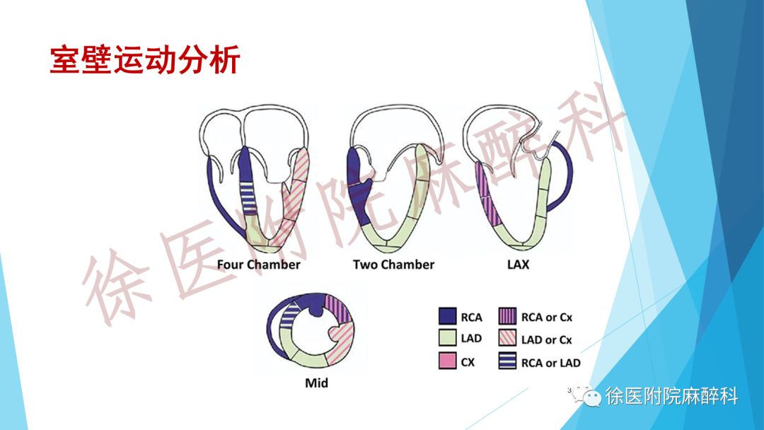 冠心病最早技术，历史沿革与当代发展探究