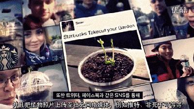 韩国星巴克杯子的起源故事，创新与时尚的先行者