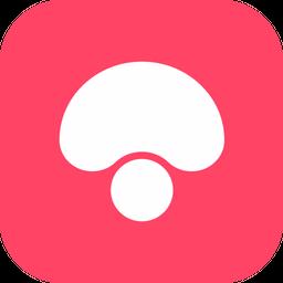 蘑菇视频app，早期下载体验的独特魅力