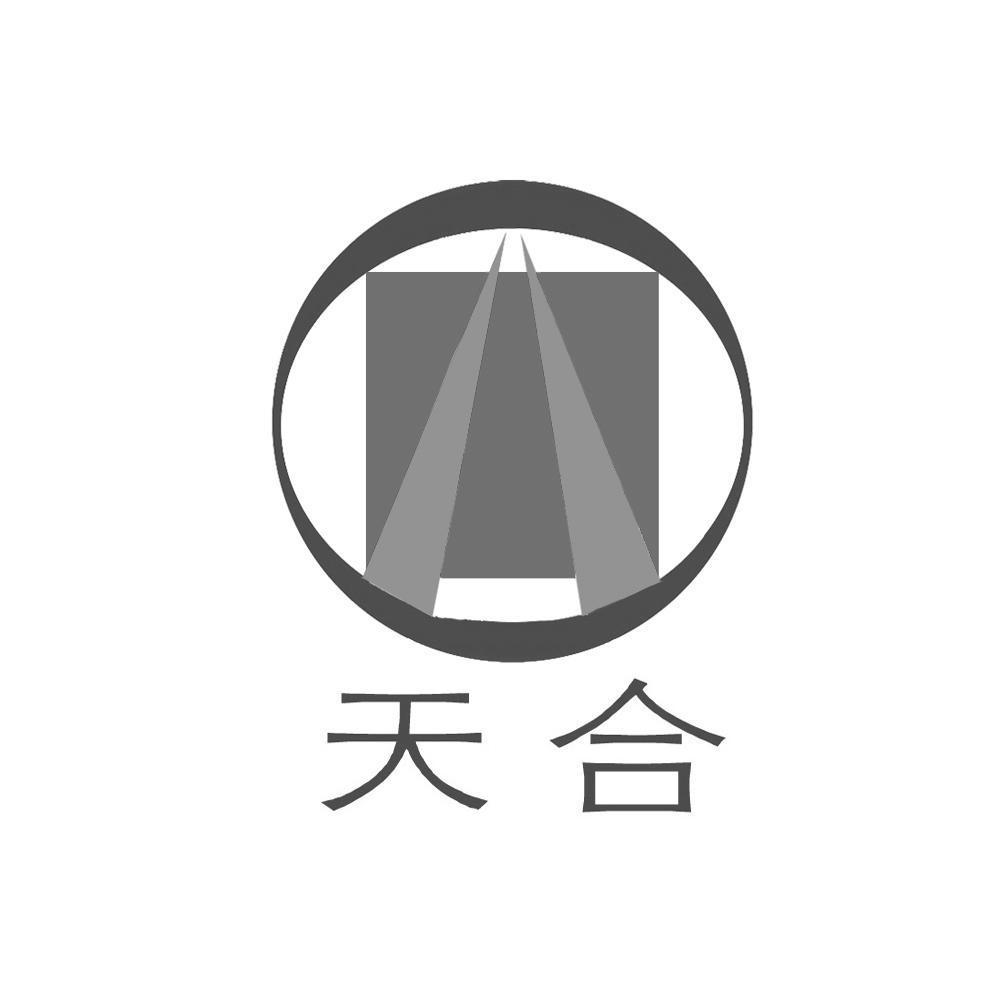 天合最早版，追溯历史，探寻起源之谜