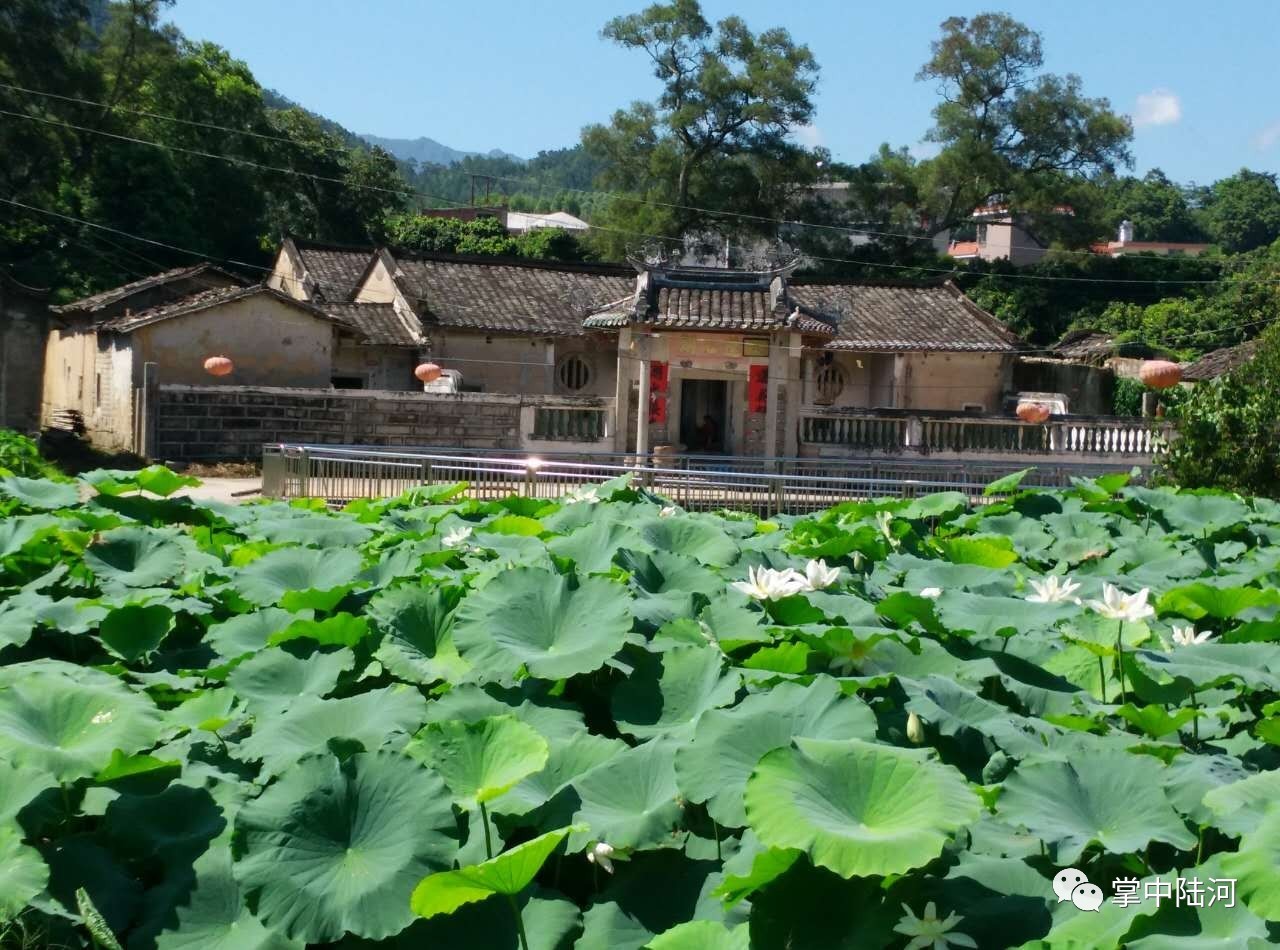彭最早陆河，探寻河流背后的故事