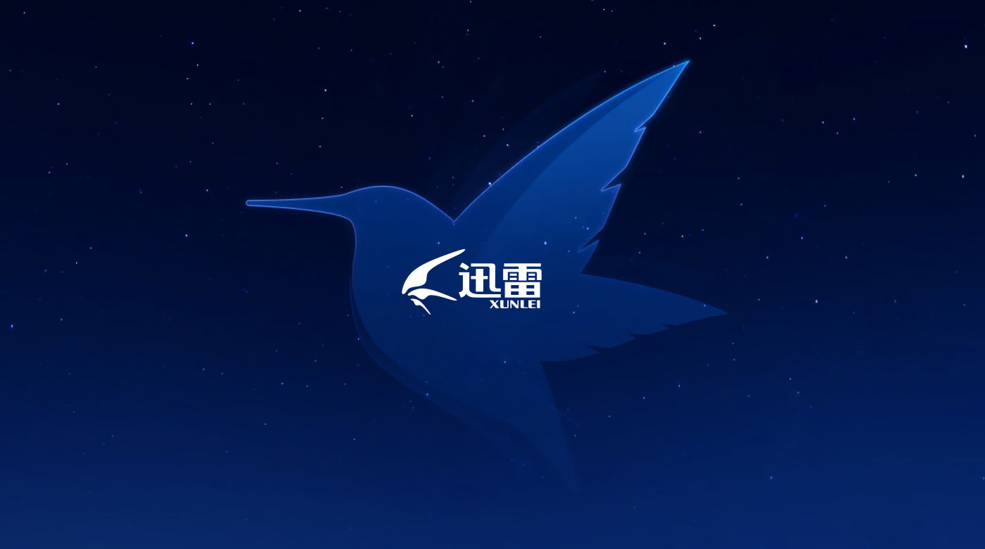 迅雷企业版的诞生与早期发展概述