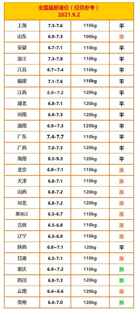 明日猪价最早价预测与市场分析概述