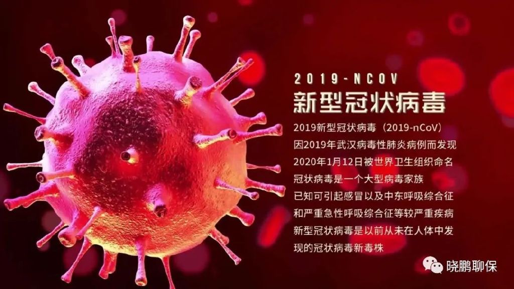 冠状最早病毒疫情，起源、扩散、影响与反思