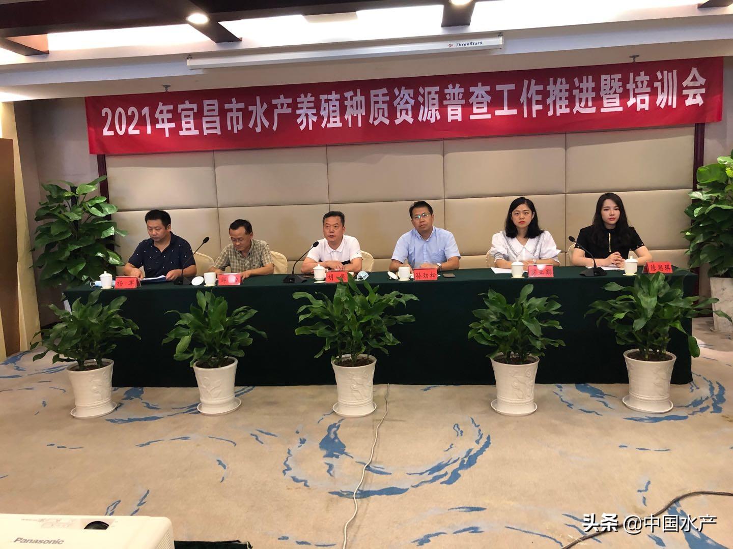 宜昌早期建设历程，历史沿革与现代建设的融合之旅
