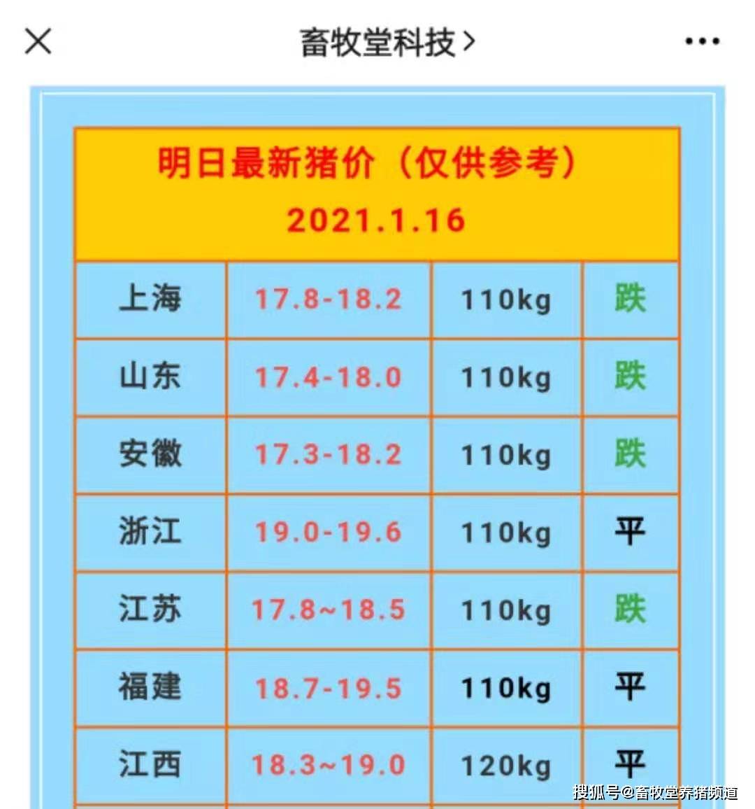 明日猪价格行情展望及分析