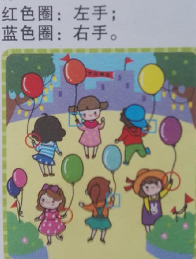 小鸡宝宝每日早晨的寻答案之旅