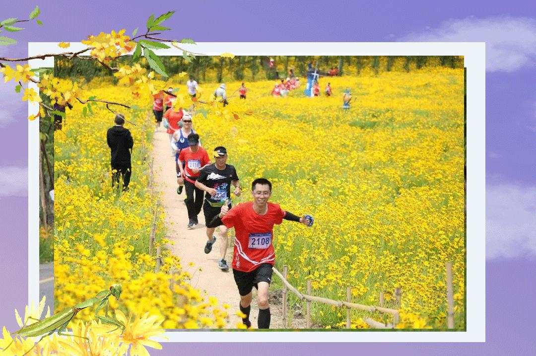 文登地区的气候变迁与现代气象观测，历史天气回顾与最新天气预报