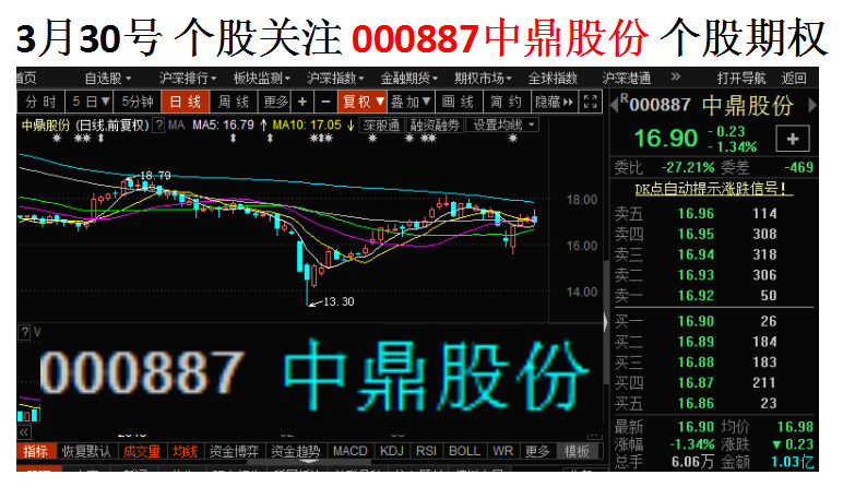 中鼎股份率先发布公告，展现信息透明与责任担当的领导力