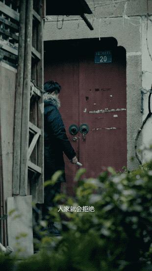 康金 第2页