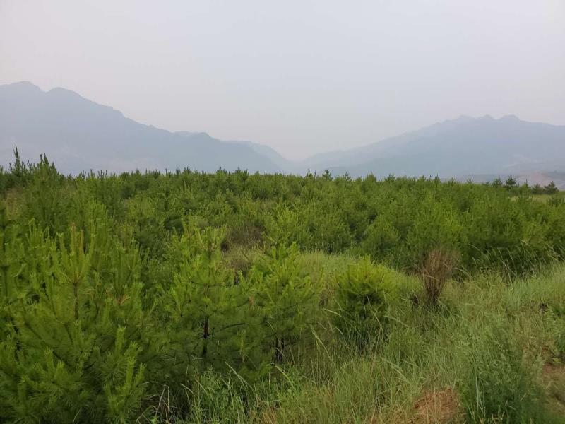 山西最早国有企业的历史沿革与影响分析