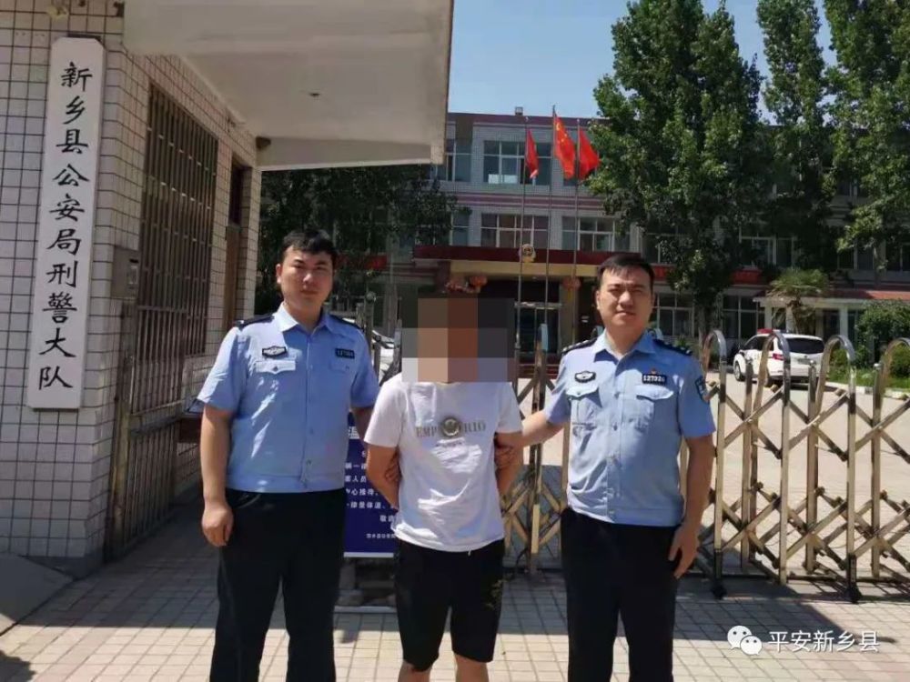新乡首起诈骗案揭秘，犯罪背后的故事与教训