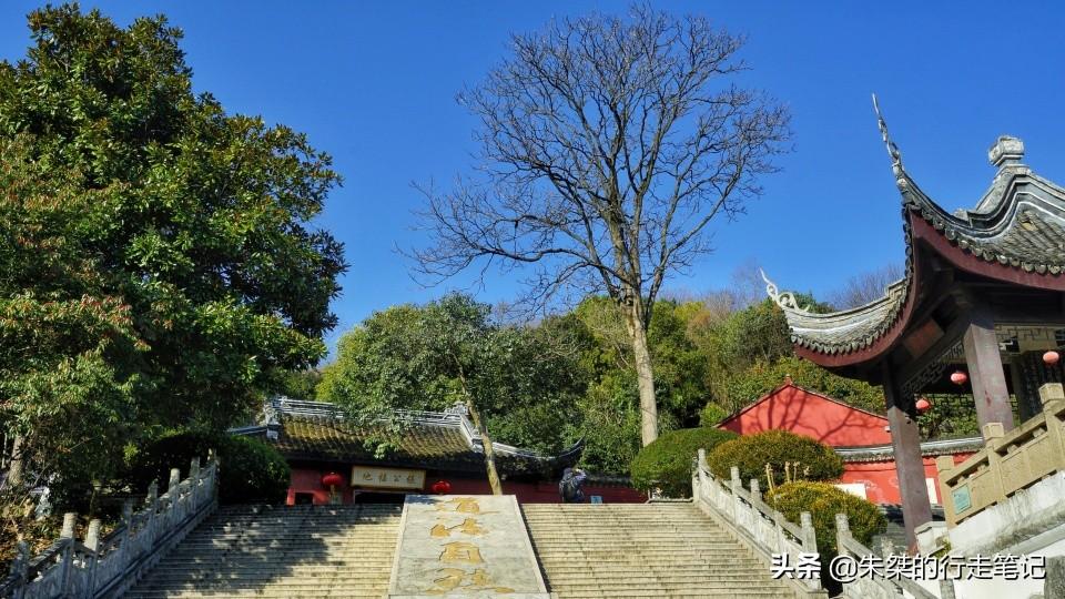 三奇最早款，先锋时尚，引领时代潮流的领跑者