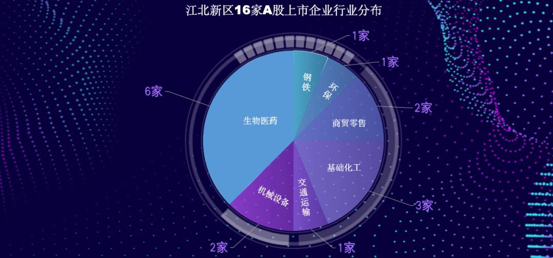 健友股份的早期状况与发展轨迹概述