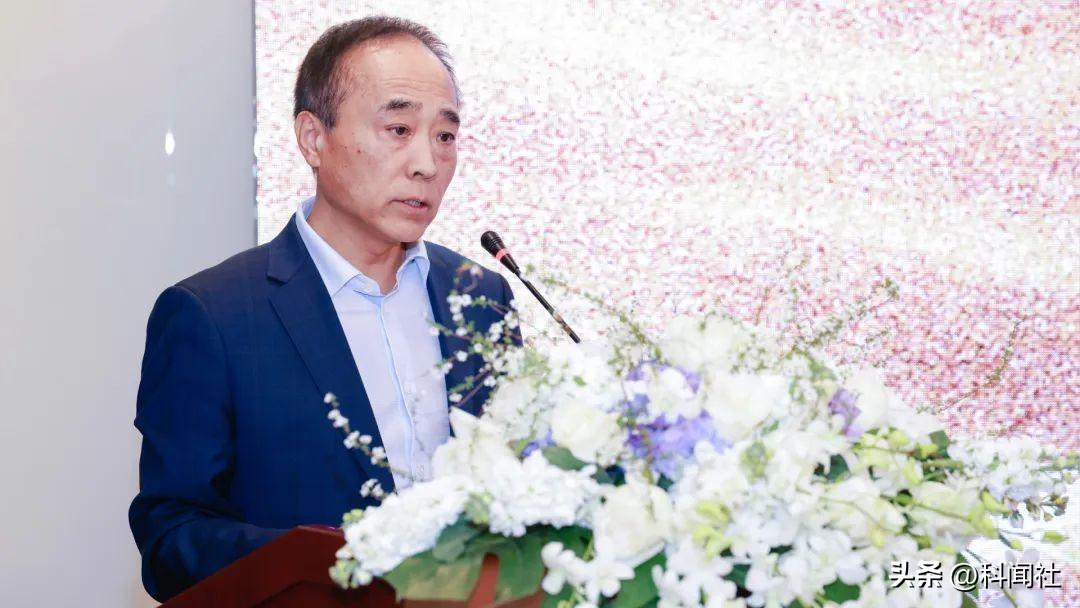 半导体技术的起源与早期发展探索，起源与早期演变之路