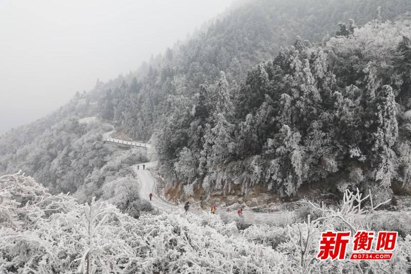 扬念霜 第2页