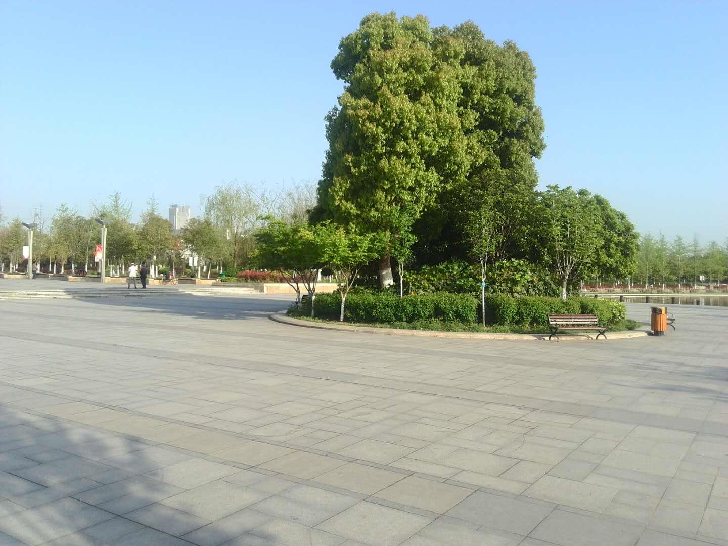 邢雅懿 第2页