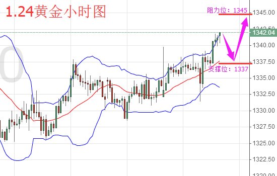 期货金价格最早行情解析与预测