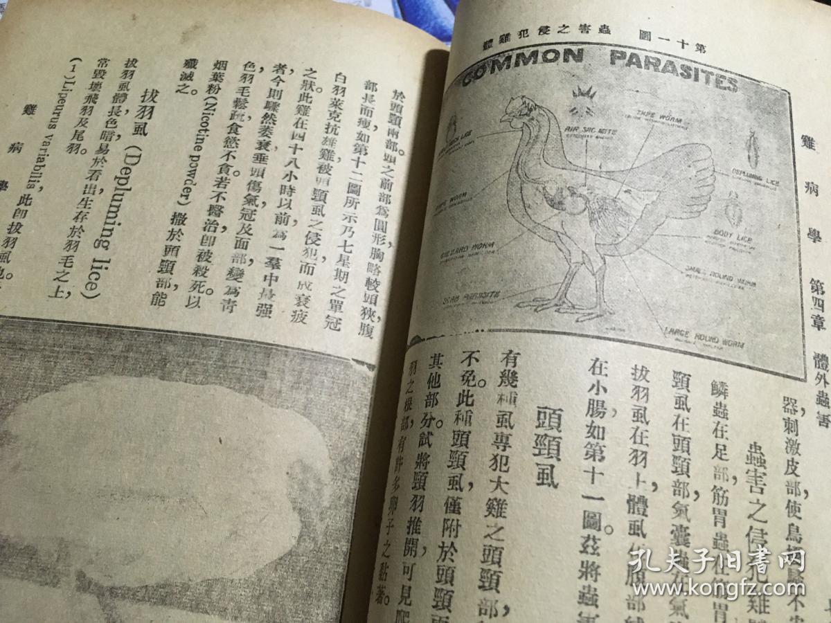 禽病学最早版，历史沿革、学科发展与禽病研究演变