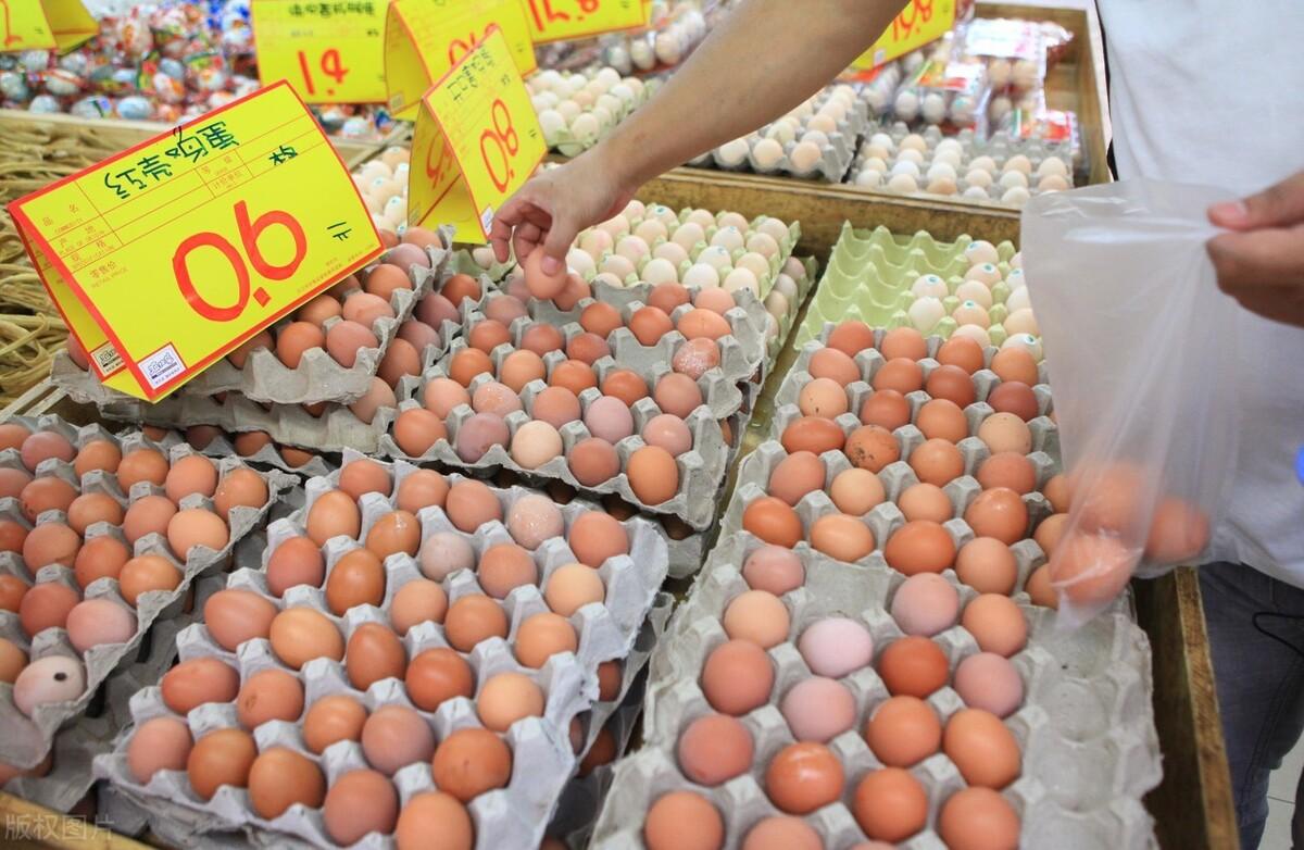 今日玉米价格走势分析与早期行情预测