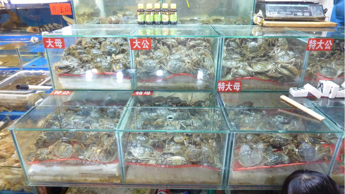 北京海鲜的早期情况探究