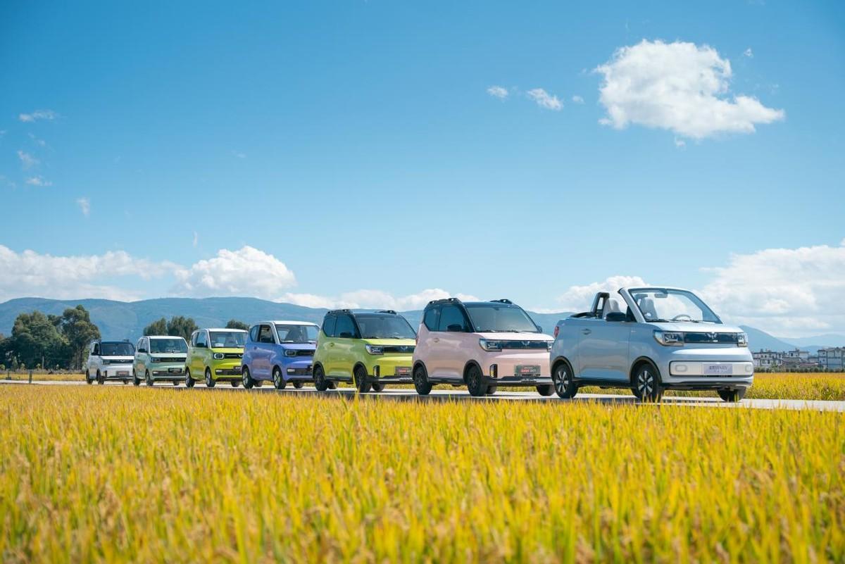 福建早期政策的先行探索之路，入闽最早政策解析