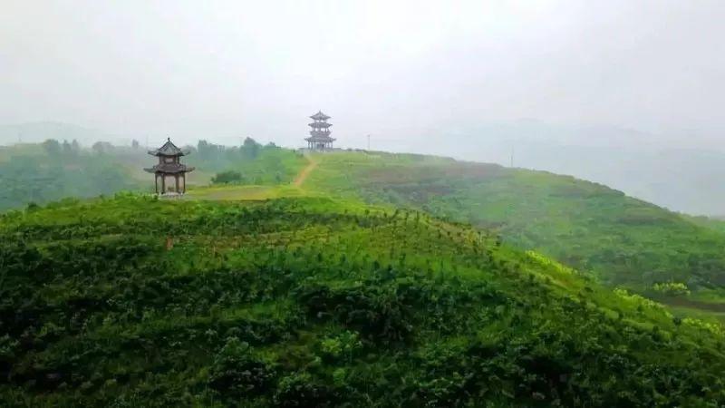 全国景点免门票最早信息的发布及其影响