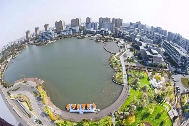 期权最早进展及其深远影响