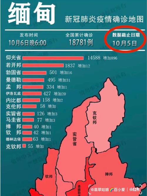 缅甸疫情最早情况分析与概述