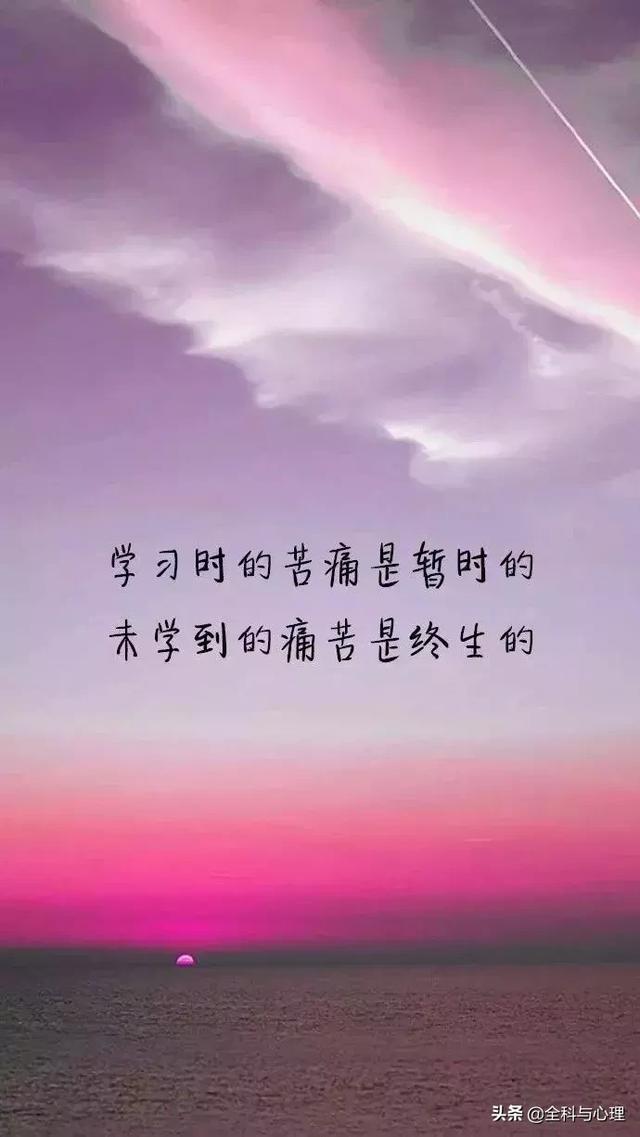回望经典魅力，2012年语录集锦