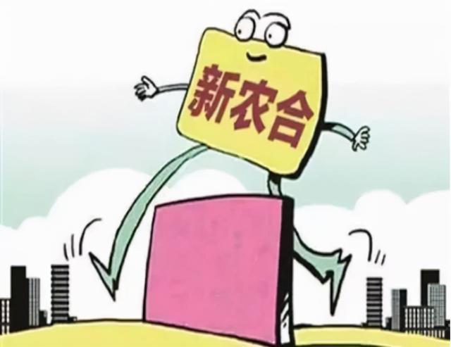 回邕最早政策的起源、历史背景与深远影响