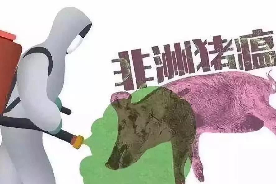关于七月非洲猪瘟最早疫情的探讨与解析