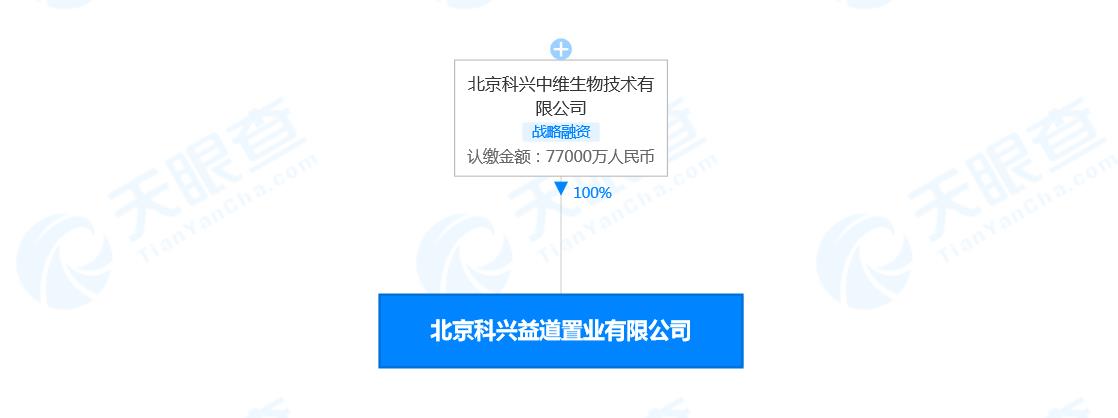 天眼查最早注册的公司，背后的故事与启示探索