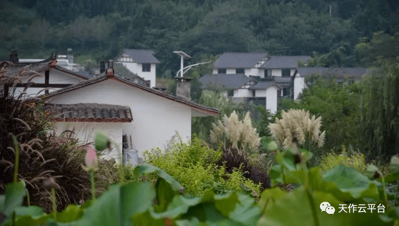 十四五乡村振兴重塑乡村未来新篇章