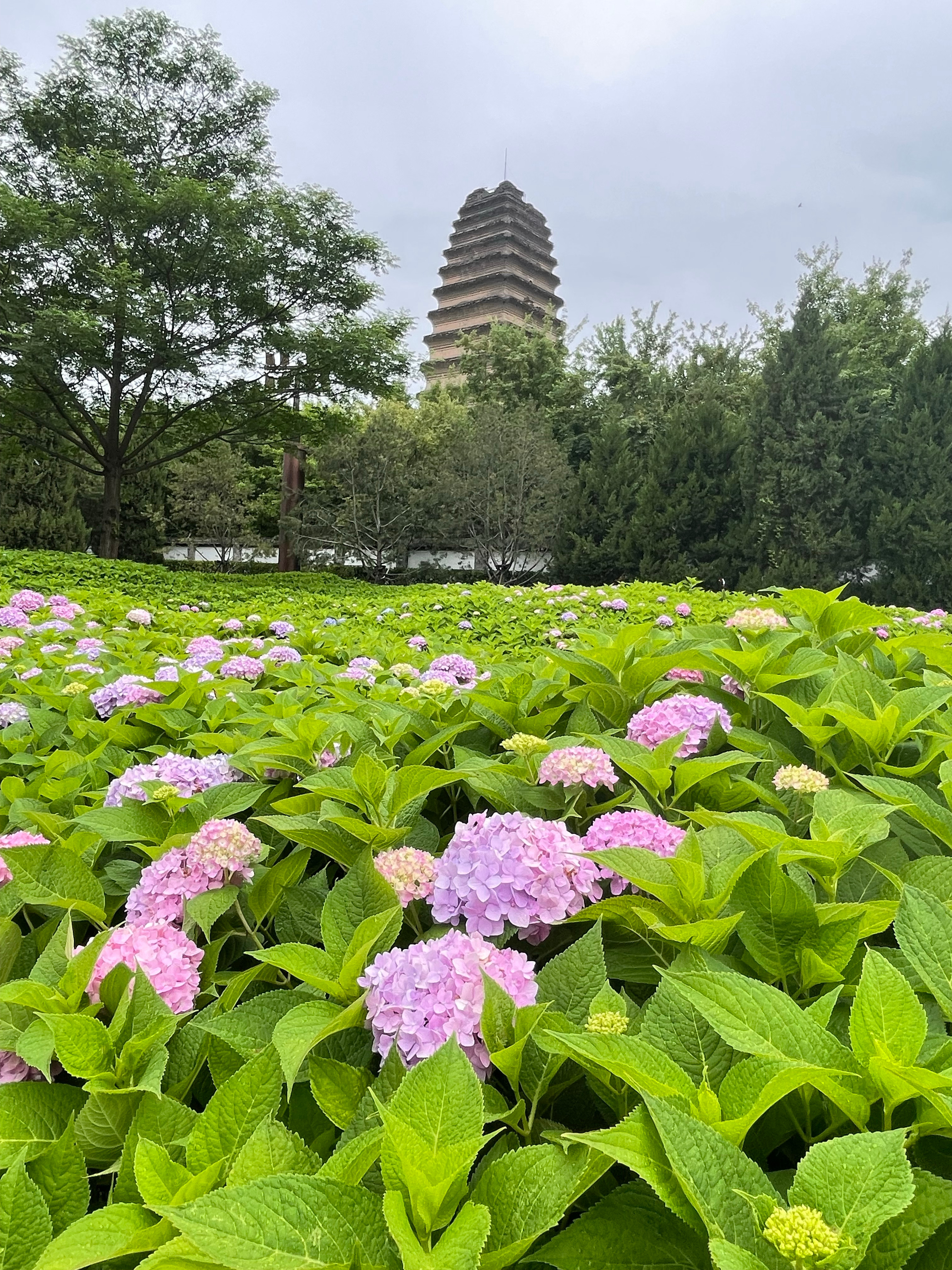性运珊