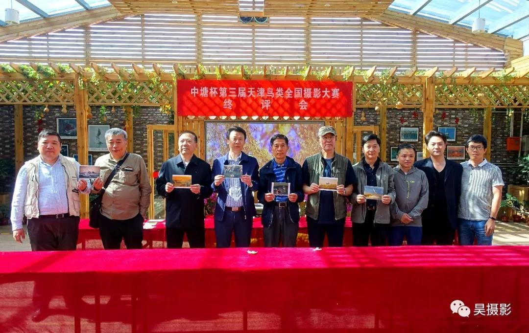 中塘镇新闻起源揭秘，历史面纱下的早期新闻报道