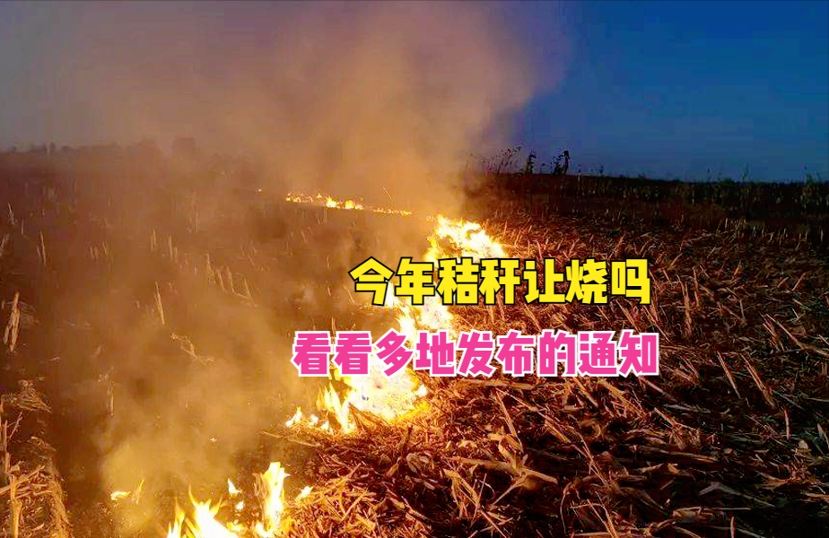 承跃