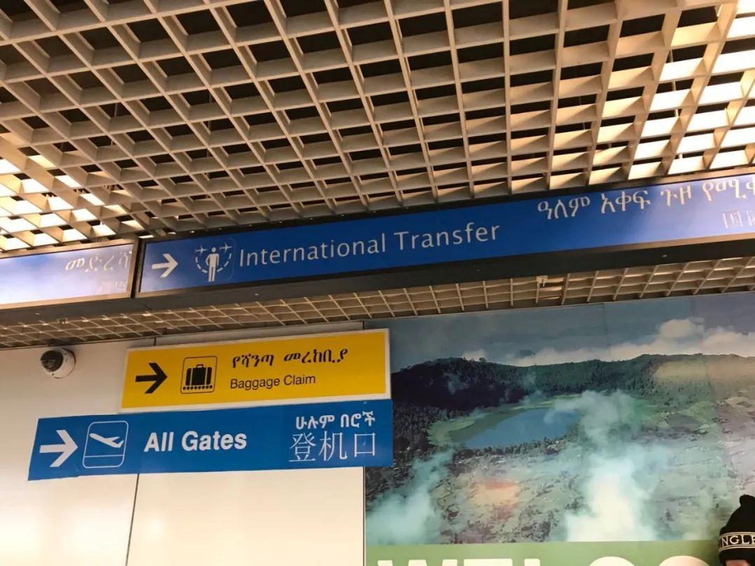 法本
