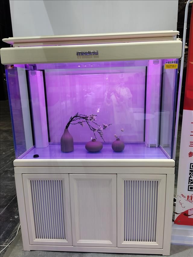 晨畅