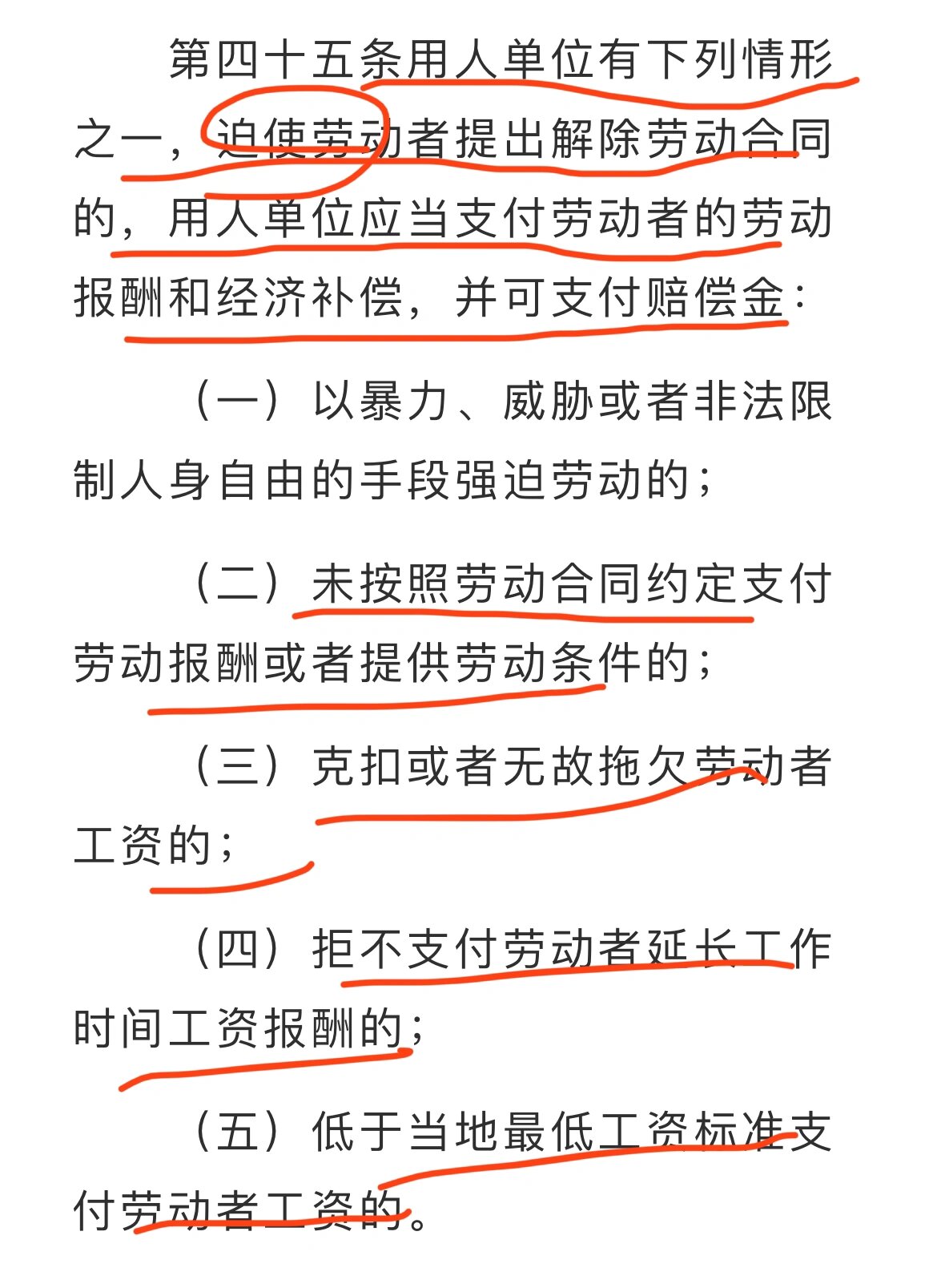 容昭懿