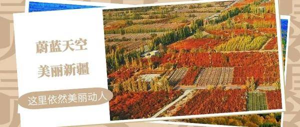 新疆新冠疫情最早公布，回顾与启示