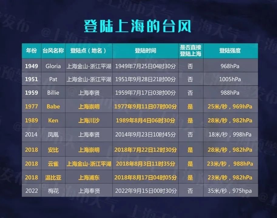 2025年5月31日 第8页